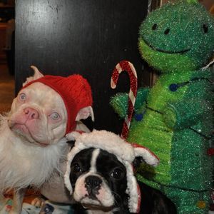 Meet your Posher, Donna